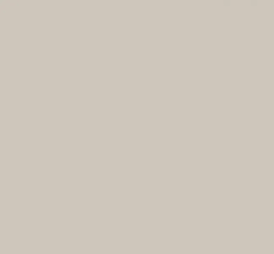 Cashmere Beige.png
